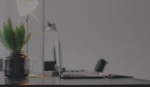 proven marketing roi results