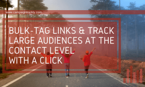 Bulk-tag links & track large audiences with a click