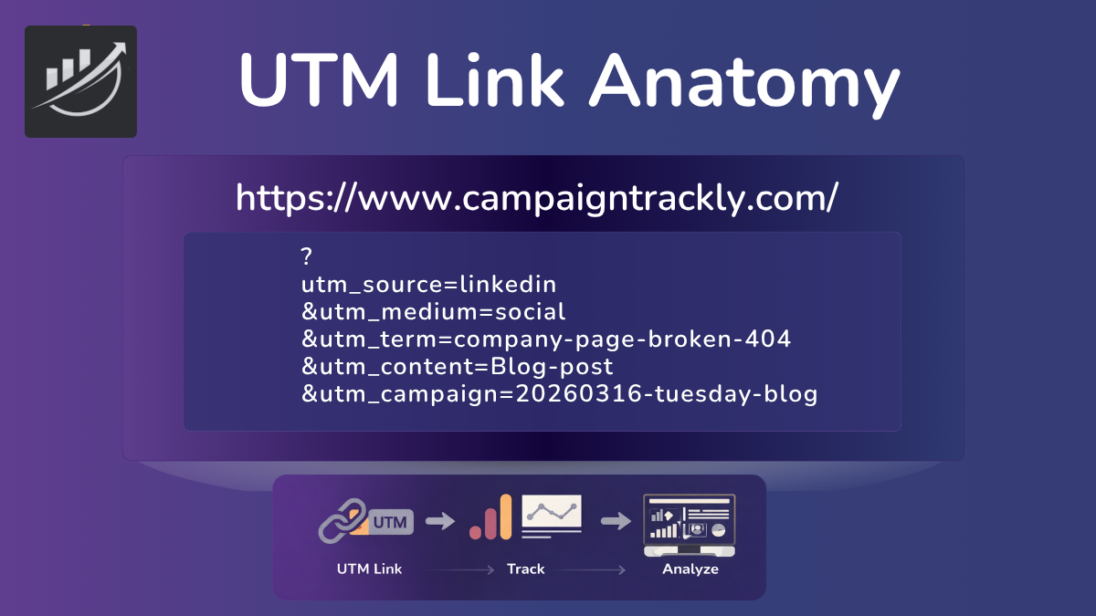 UTM Link Anatomy Guide